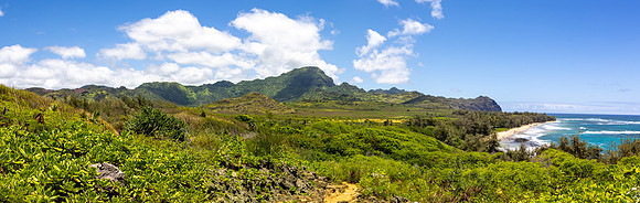 Vista over Makauwahi Cave Reserve