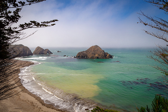 Elk Coast