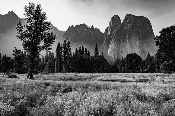 Cathedral Rocks